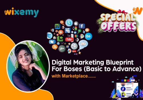 Digital Marketing Blueprint For Boses (Basic to Advance)